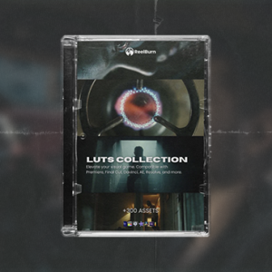 REELBURN - Luts Collections