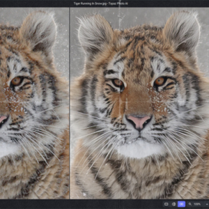 Topaz Photo AI 2.0.5 (Win + Mac)