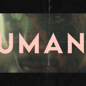 Humano 2023 Powergrades + LUTs
