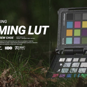 Leeming LUT Pro