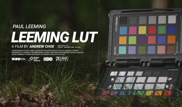 Leeming LUT Pro