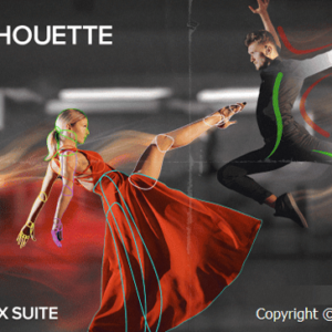 Boris FX Silhouette 2024.0.0 (Win)