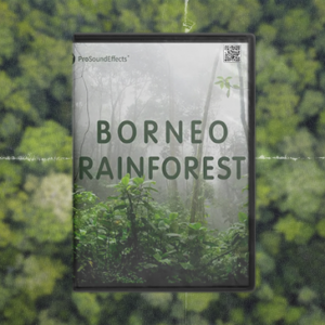 Pro Sound Effects - Borneo Rainforest