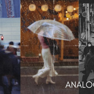 Analog 2024 (LR Desktop & Mobile)