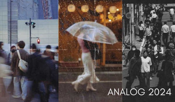 Analog 2024 (LR Desktop & Mobile)