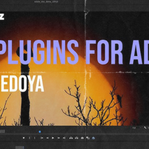 Filmworkz Adobe DVO v1.0.1 CE (Win)
