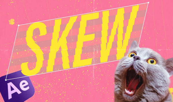 Skew Pro 2 for After Effects