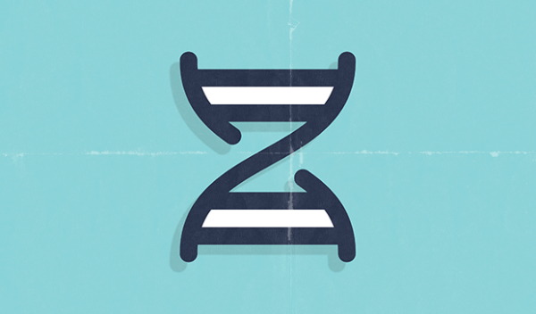 Qazis Toolkit Look DNA