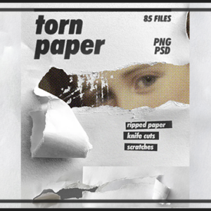 Torn Paper Bundle
