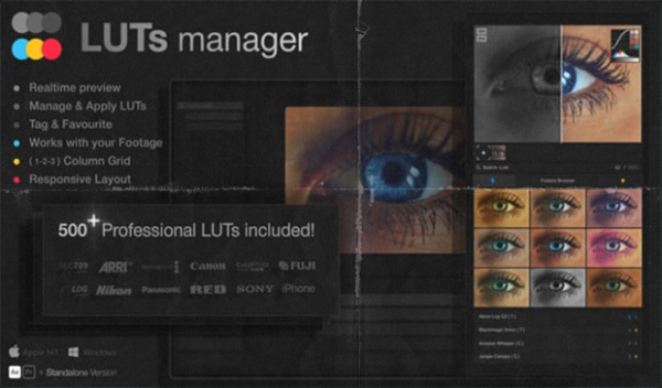 Real Time Bulk Previews Tool & 500 LUTs