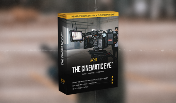 AOD – The Cinematic Eye Course