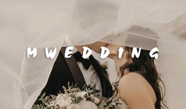 MotionVFX - mWedding for DVR