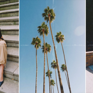 Mitch Lally - Natura Collection (XMP+LUTs)