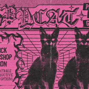 CopyCat Photocopy Action