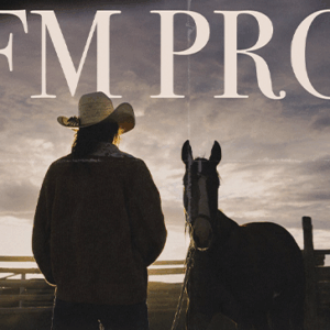 FM PRO Lightroom Presets