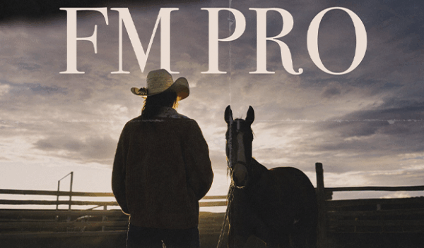 FM PRO Lightroom Presets