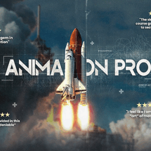 Animation Pro Course for After Effects
