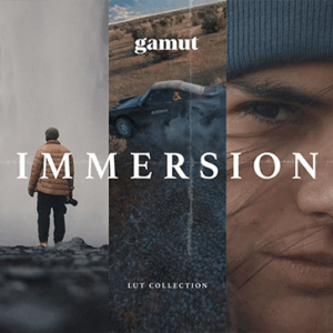 Gamut - Immersion 2.0