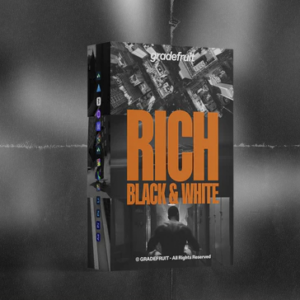 Rich Black and White LUTs & LR Presets
