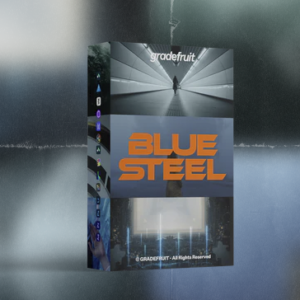 Blue Steel LUTs & LR Presets