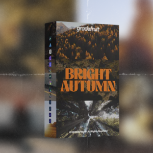 Bright Autumn LUTs & LR Presets