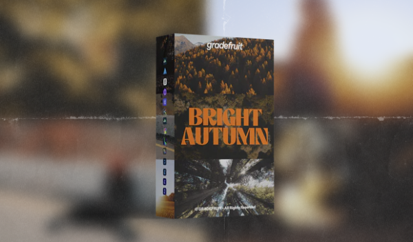 Bright Autumn LUTs & LR Presets