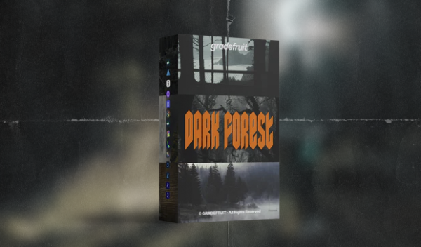 Dark Forest LUTs & LR Presets