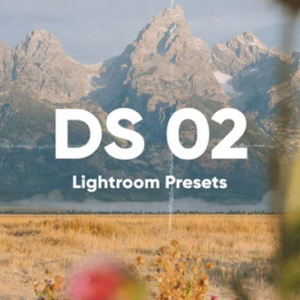 DS 02 Lightroom Presets