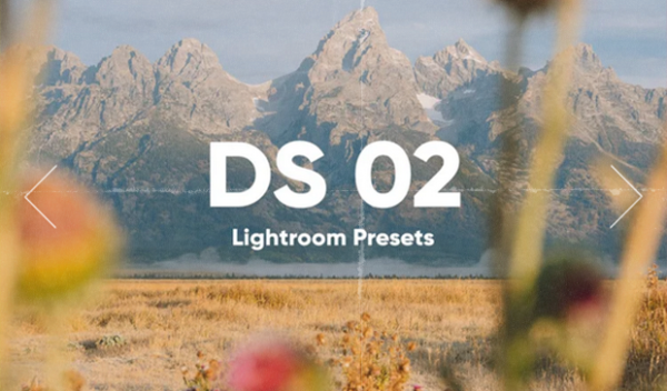 DS 02 Lightroom Presets