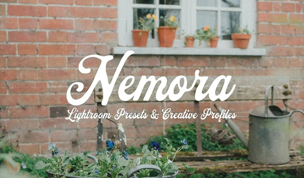 AQ 62 - Nemora Lightroom Presets